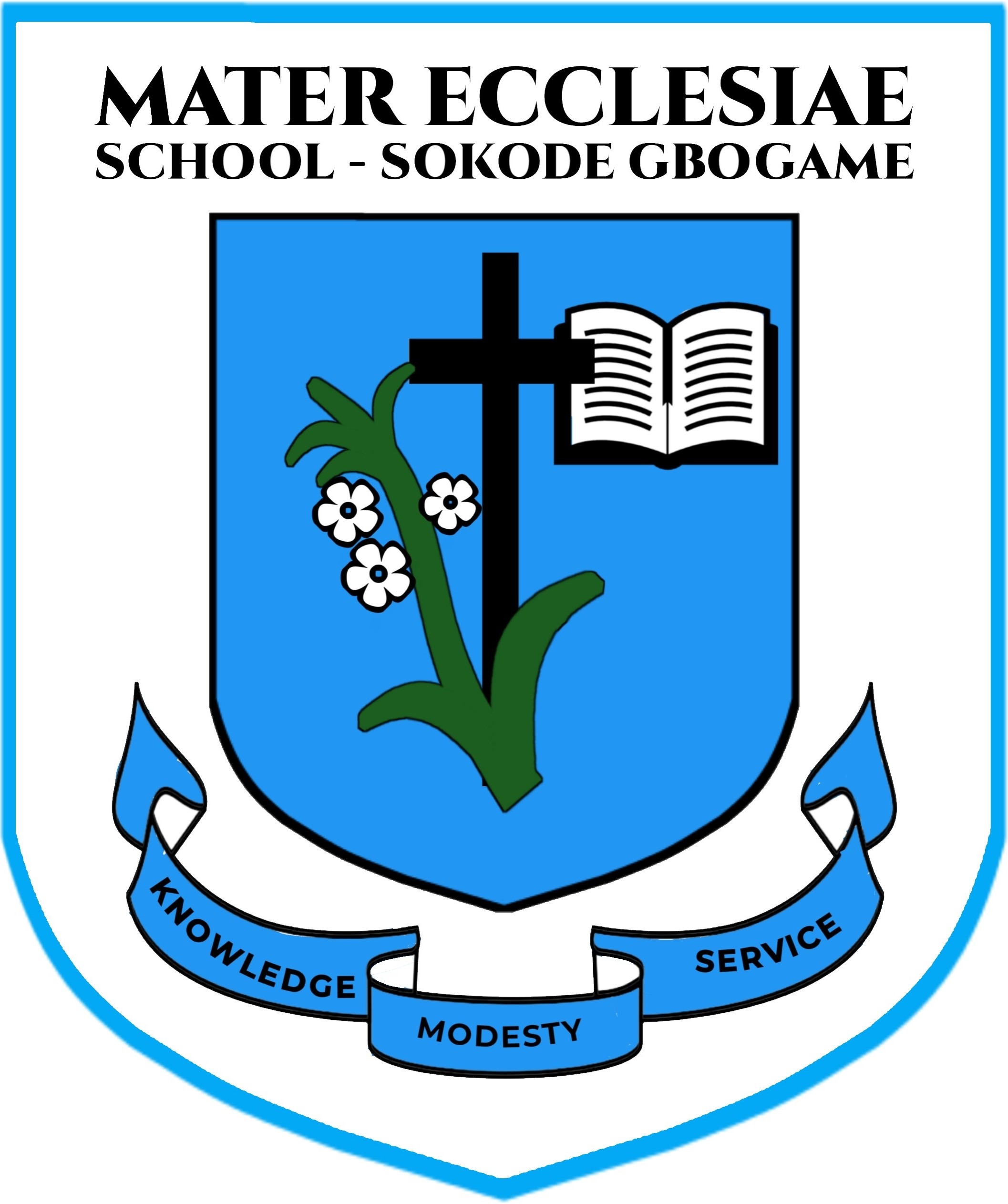 Mater Ecclesiae School